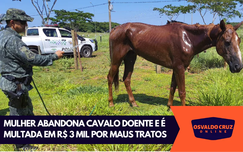 Mulher abandona cavalo doente e é multada em R$3000 mil reais por maus tratos